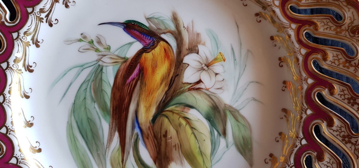English Plate XIX S Openwork Porcelain And Hand Painted Bird Of Paradise-photo-3