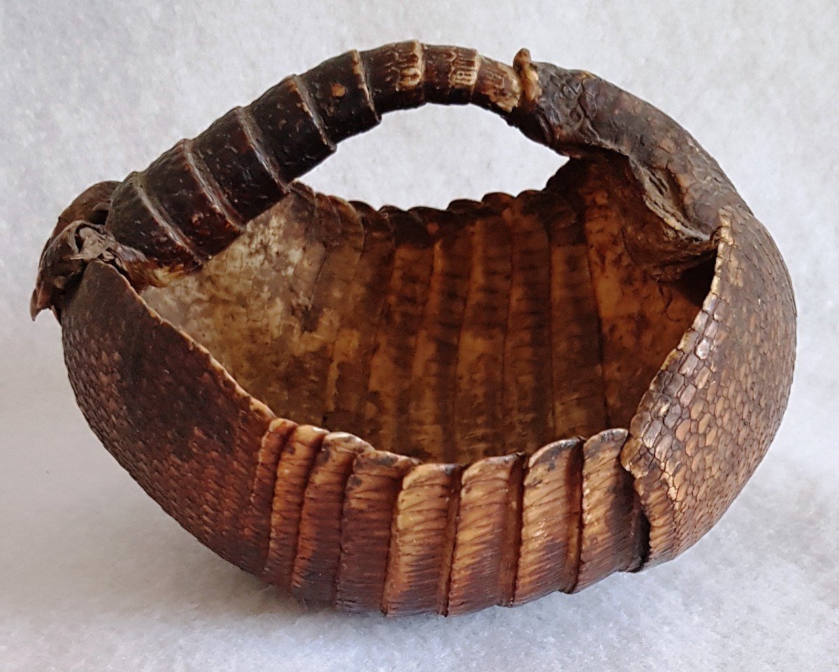 Small Armadillo Basket Old Taxidermy-photo-3
