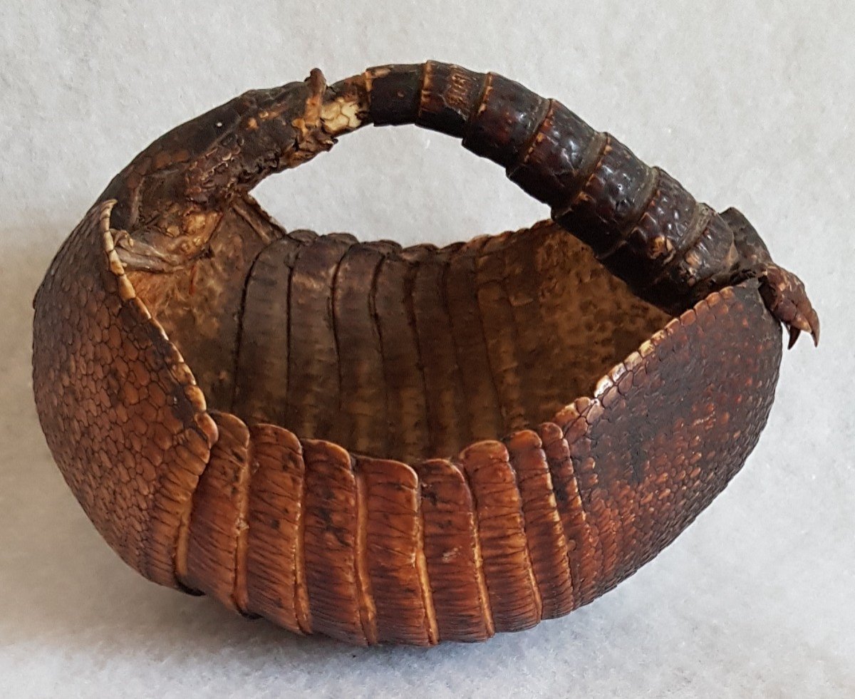 Small Armadillo Basket Old Taxidermy