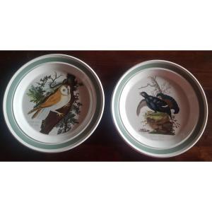 Two Antique Portmeirion Birds Of Britain Dinner Plate E. Donovan Barn Owl And Black Cock