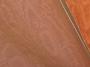 1750208-alb-69eff5edda39f.jpg
