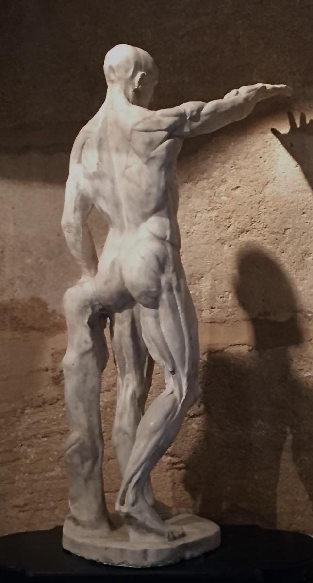 "l'Ecorché" Grand Plâtre d'Atelier d'Après Jean-Antoine Houdon.-photo-1