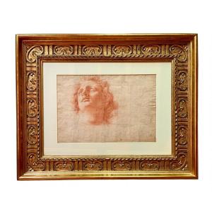 Italian School From The 17th Century. Study Of A Man's Head. Sanguine On Paper.