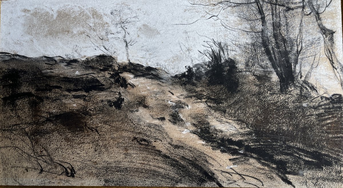 Vollon, Charcoal And Gouache Landscape Drawing, Inscribed On The Reverse, Late 19th Century-photo-4