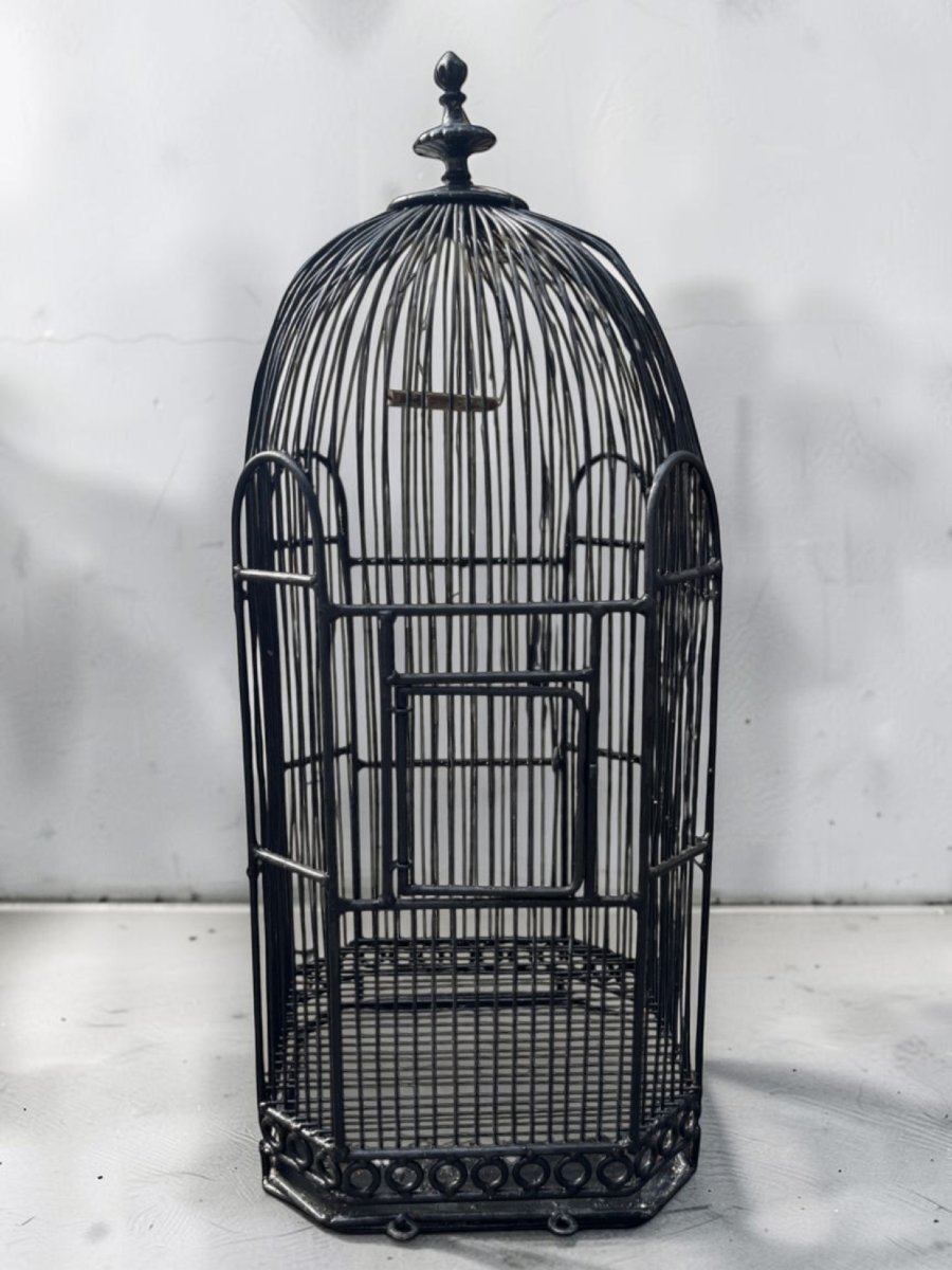 Ancienne cage à oiseaux en métal noir début XXème-photo-2