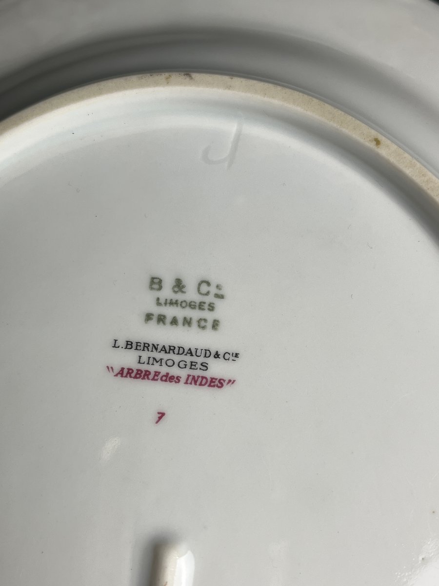Tableware, Bernardaud Limoges Porcelain Set "arbres Des Indes," 20th Century-photo-5