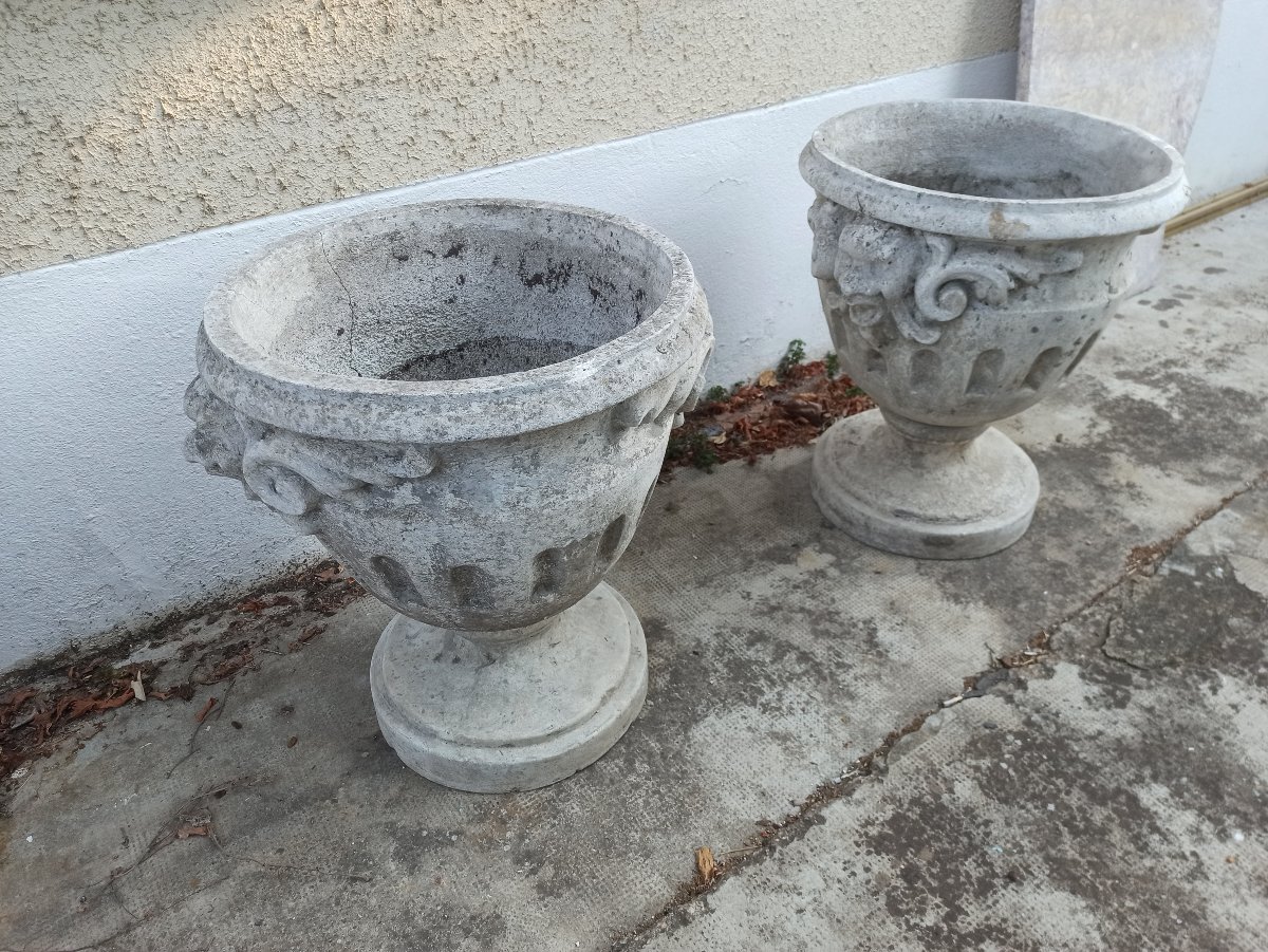 Grande paire de vasques de jardin-photo-2