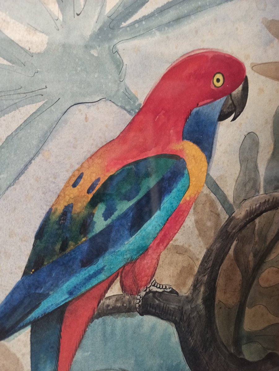Georges Lucien Guyot (1885–1973) A Pair Of Parrots-photo-4