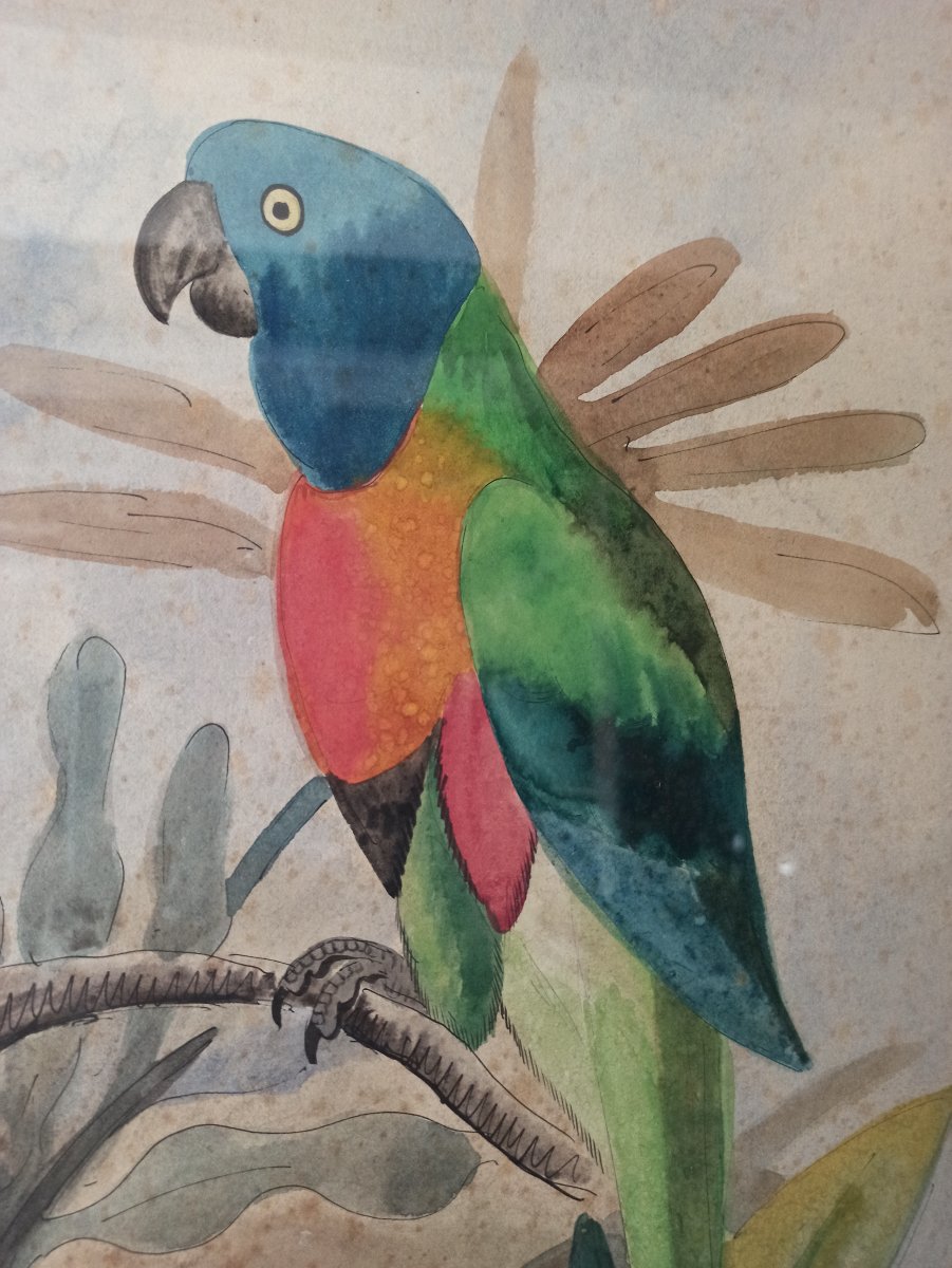 Georges Lucien Guyot (1885–1973) A Pair Of Parrots-photo-2