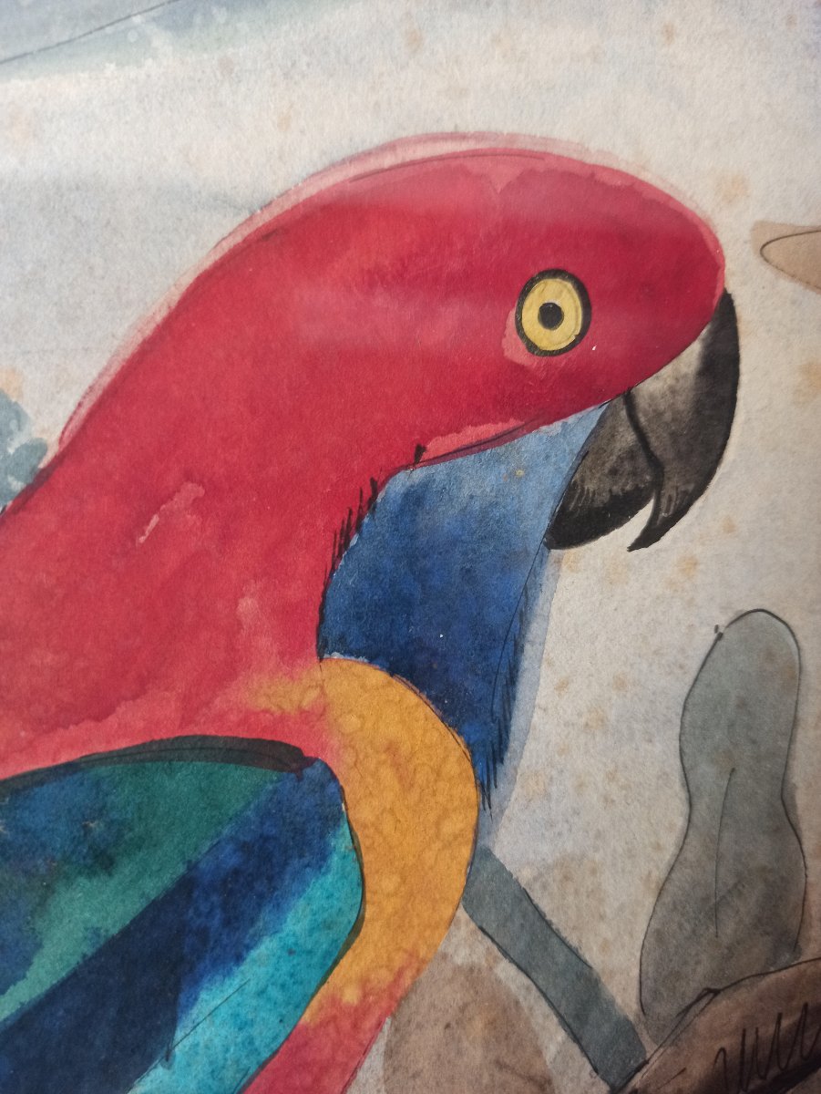 Georges Lucien Guyot (1885–1973) A Pair Of Parrots-photo-3