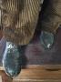 1776665-alb-6a2ad88811854.jpg