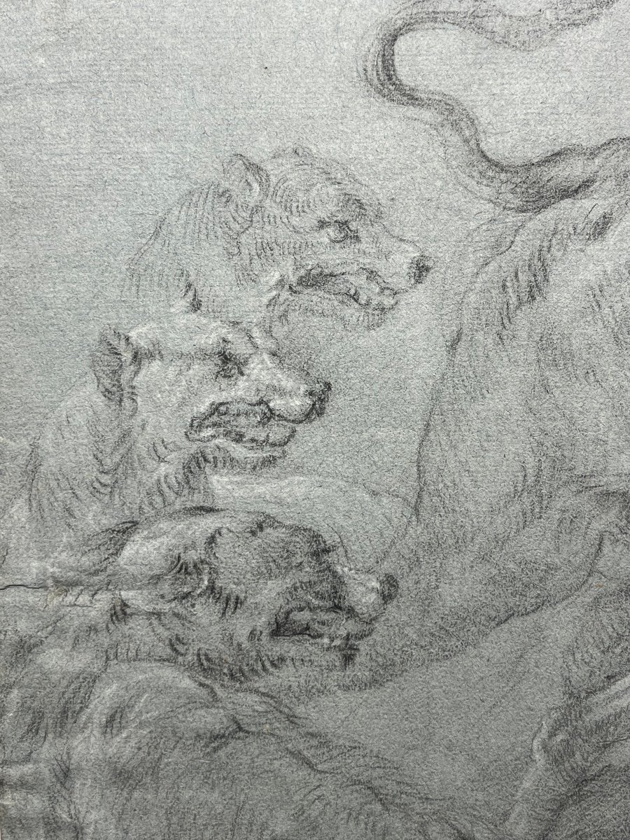Ecole Flamande XVII Taureau Attaqué Par Les Chiens Dessin Ancien-photo-2