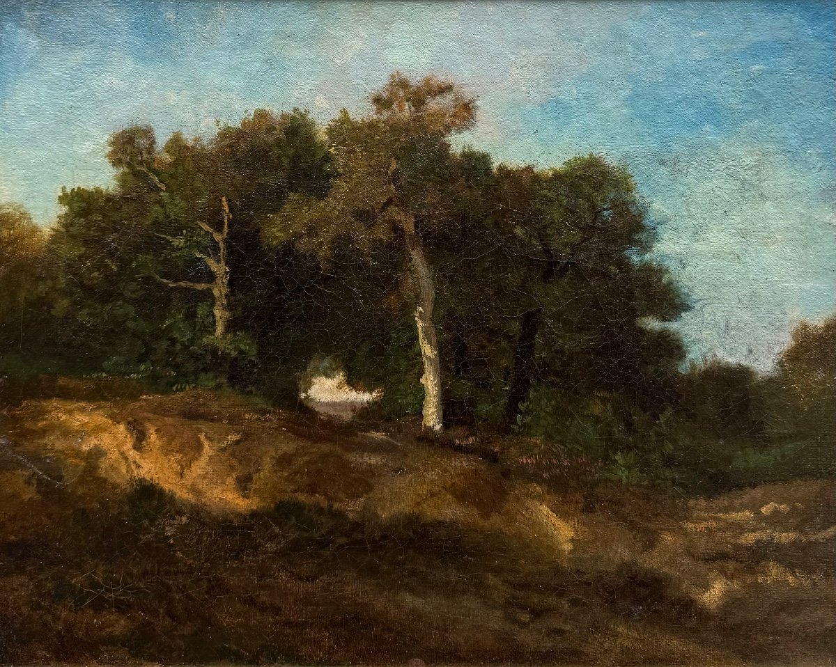Auguste Anastasi (1820-1889) Paysage Fontainebleau Huile Sur Toile école De Barbizon-photo-2