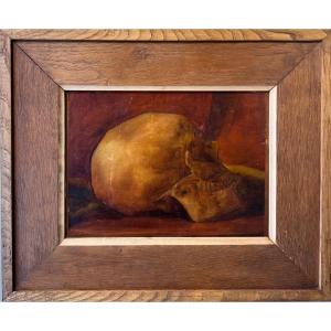 Skull Oil On Paper 19th Century