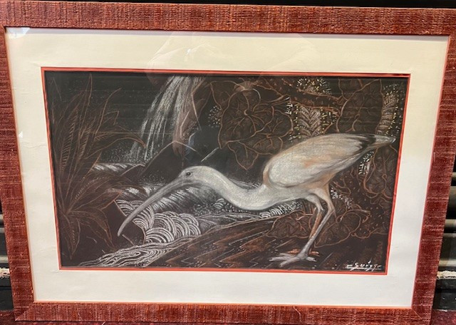 DESSIN - Gaston  SUISSE