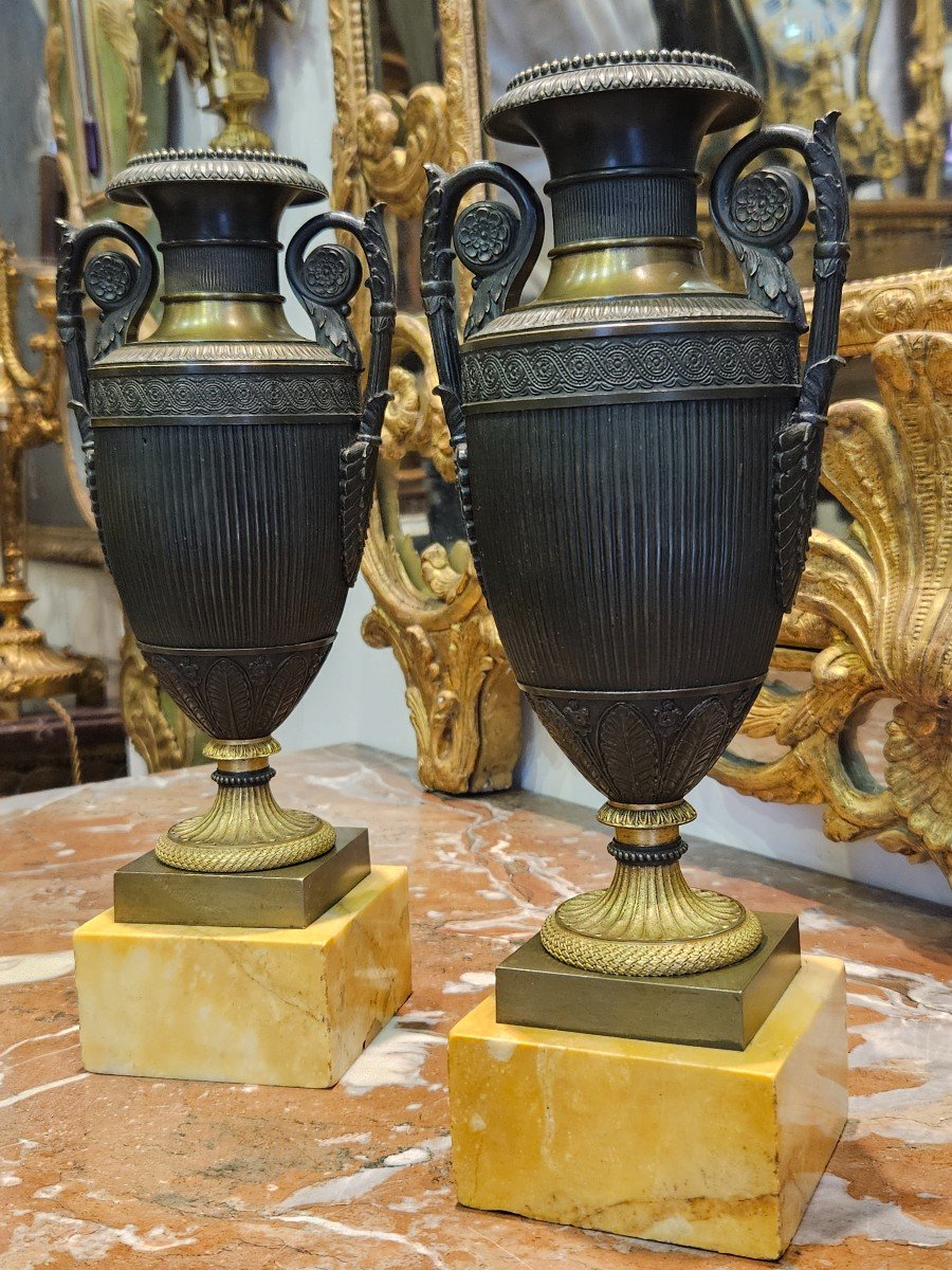 Paire De Vases A l'Antique En Bronze Patiné Et Doré Epoque Empire XIX ème-photo-7