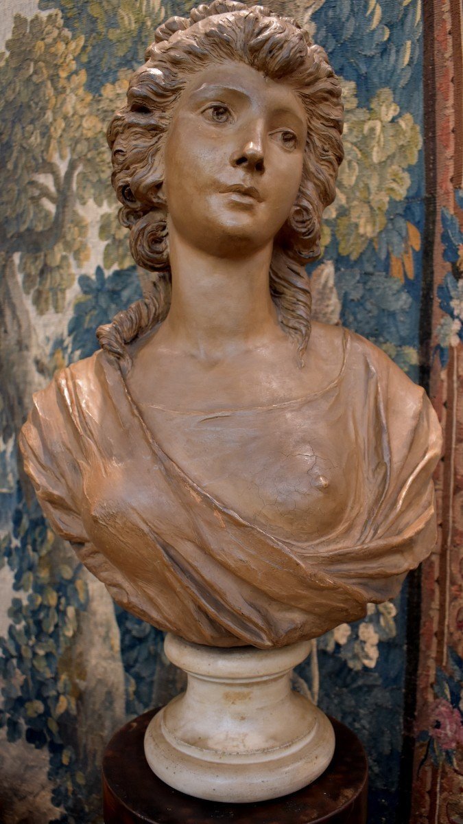 Bust Of Young Girl In Terracotta After Gois Napoleon III Period XIXth-photo-2
