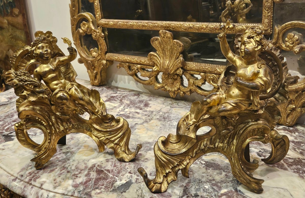  Paire de Chenêts en Bronze Doré d'Après « Jacques Caffieri » Époque Louis XV XVIIIe-photo-2