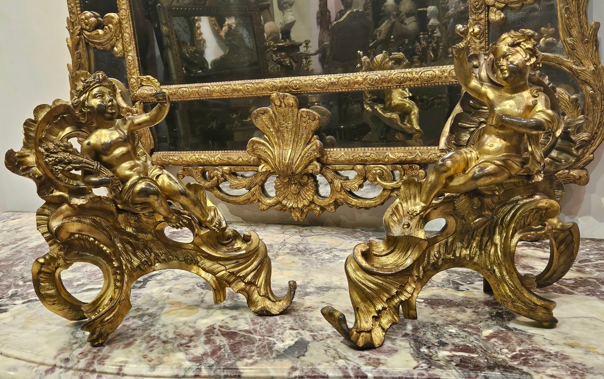  Paire de Chenêts en Bronze Doré d'Après « Jacques Caffieri » Époque Louis XV XVIIIe-photo-4