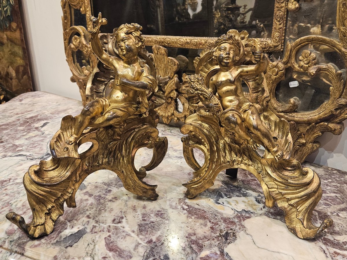  Paire de Chenêts en Bronze Doré d'Après « Jacques Caffieri » Époque Louis XV XVIIIe-photo-3