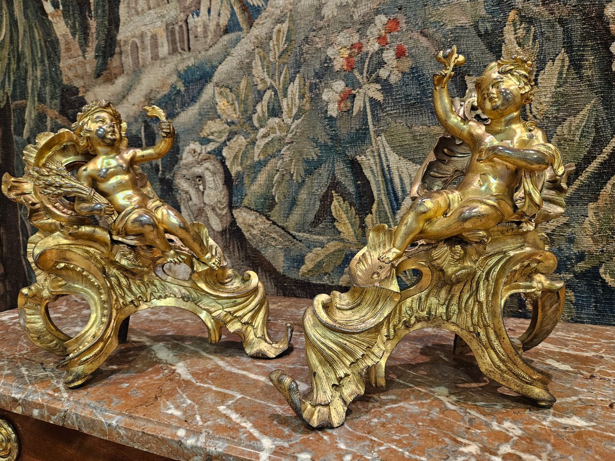  Paire de Chenêts en Bronze Doré d'Après « Jacques Caffieri » Époque Louis XV XVIIIe-photo-6