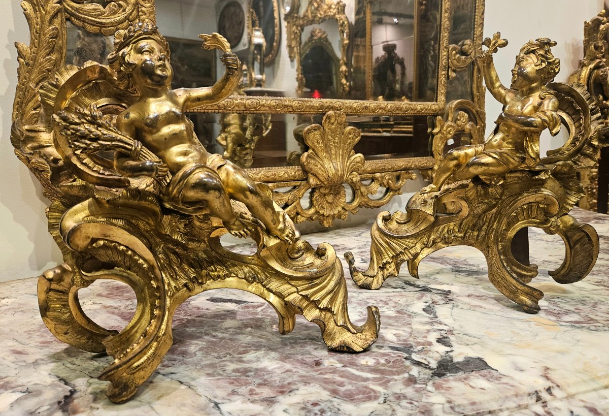  Paire de Chenêts en Bronze Doré d'Après « Jacques Caffieri » Époque Louis XV XVIIIe