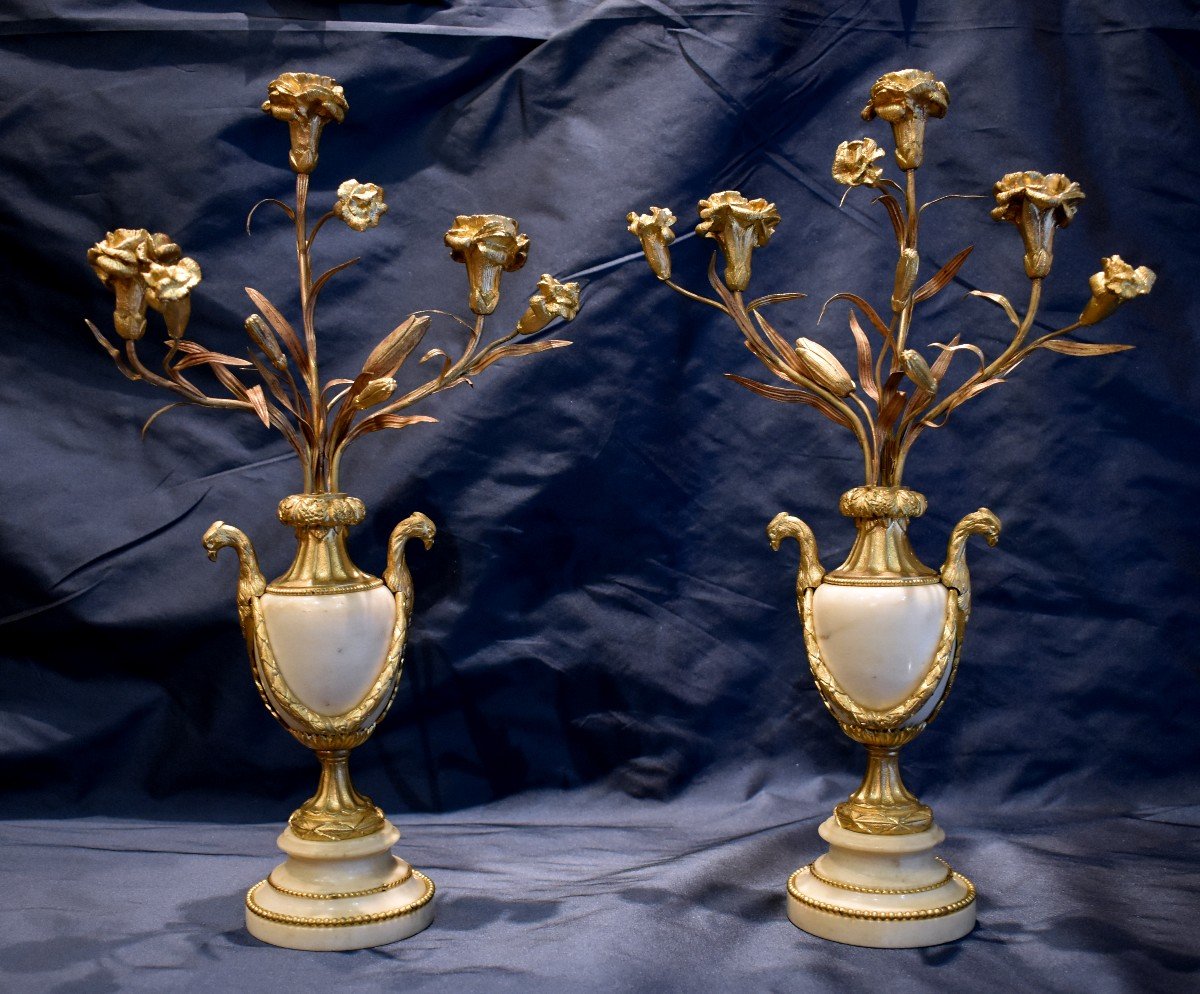 Paire De Candélabres "Vases Fleuris" Epoque Louis XVI  XVIII ème