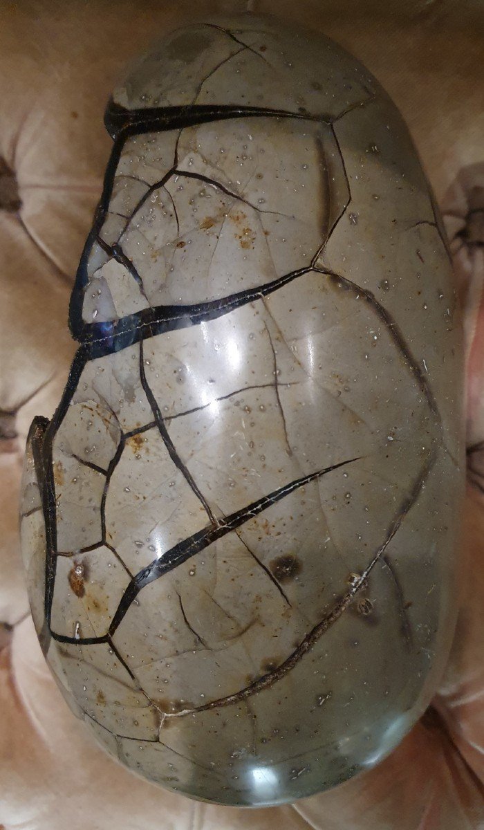 Objet Du Curiosité -  Naturalia - Pierre Sauvage De Septaria-photo-1