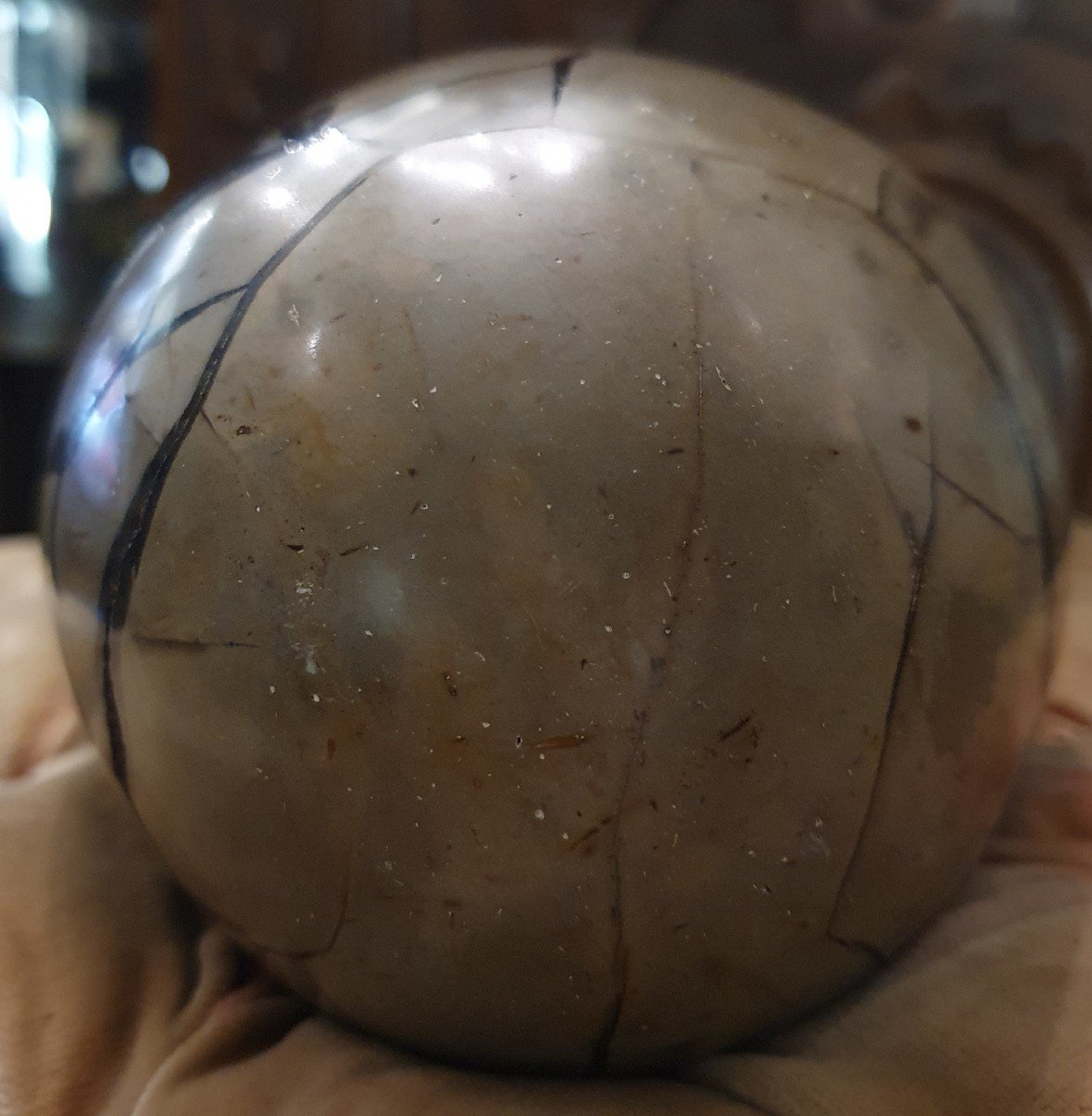 Objet Du Curiosité -  Naturalia - Pierre Sauvage De Septaria-photo-3