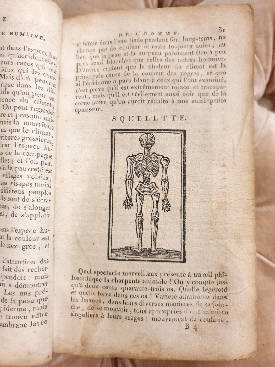 Anonymous Book On The History Of Animals Preceded By A Précis Of The Natural History Of Man-photo-3