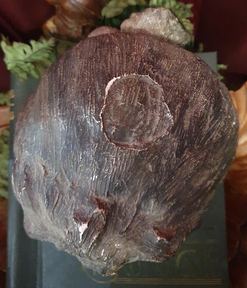 Sculpture Of A Woman's Head In Plaster With Brown Patina-photo-2