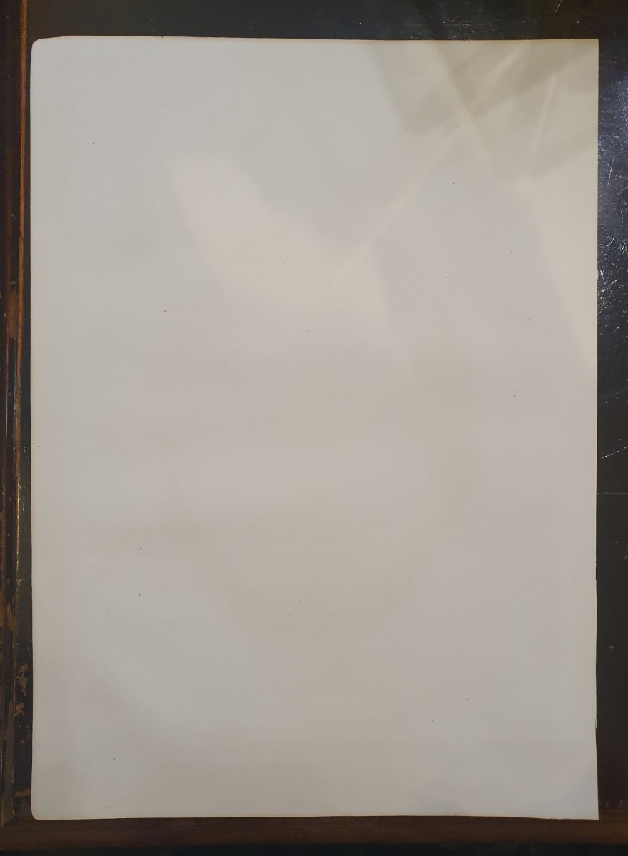 Lithographie Couleur originale circa 1840 Tirée du traité anatomique de Bourgery et Jacob-photo-2