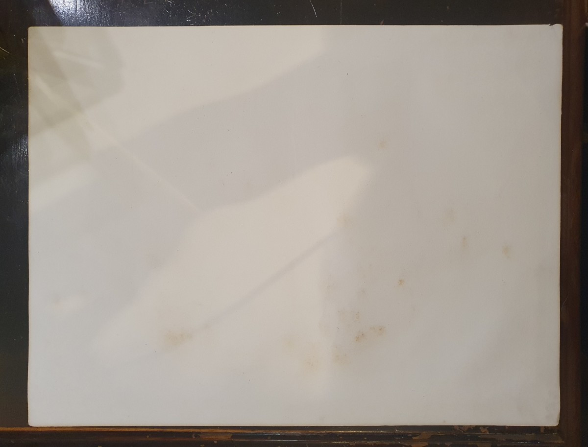 Lithographie anatomique en couleurs Étude des nerfs du périnée tirée du traité de Bourgery-photo-2