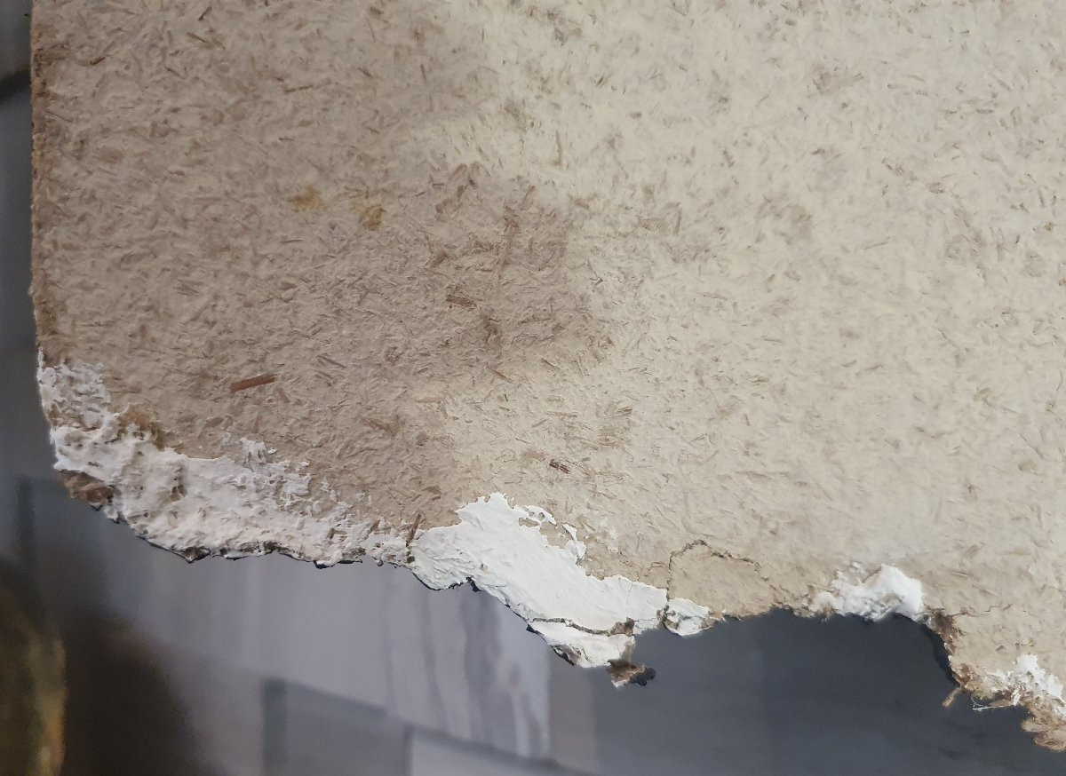 Panneau peint à motif de tête de mort dans la tradition memento mori fin XIXᵉ / début XXᵉ-photo-3