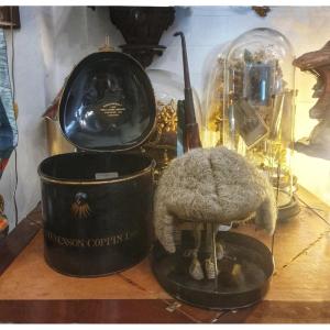 Victorian Lawyer's Wig And Ravenscroft Carrying Case, 19th Century