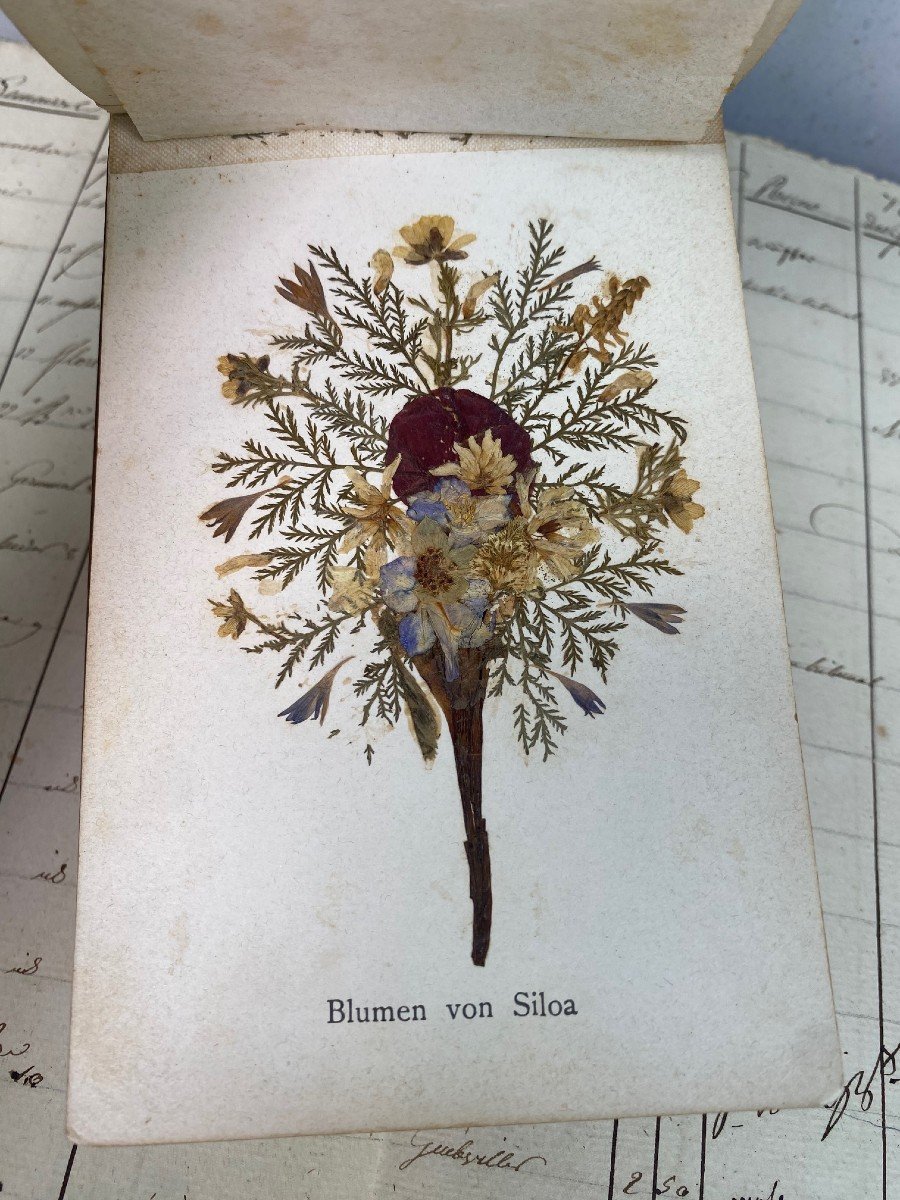Rare Herbarium From Jerusalem And The Holy Land- .-photo-3