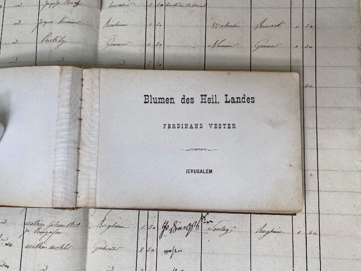 Rare Herbarium From Jerusalem And The Holy Land- .-photo-1
