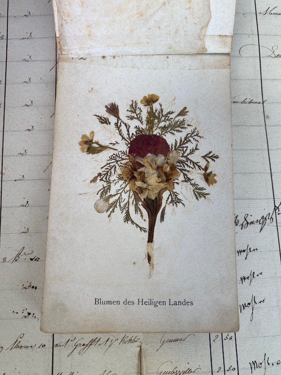 Rare Herbarium From Jerusalem And The Holy Land- .-photo-2
