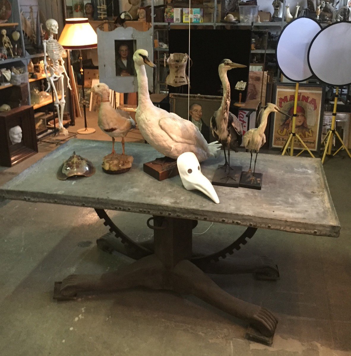 Exceptional Late 18th Century Anatomist's Table With Forged Skull-photo-5