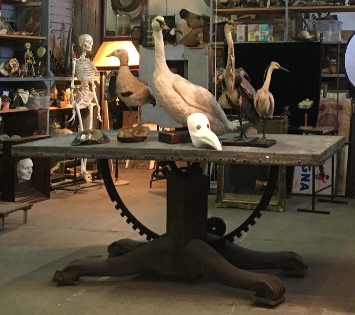 Exceptional Late 18th Century Anatomist's Table With Forged Skull