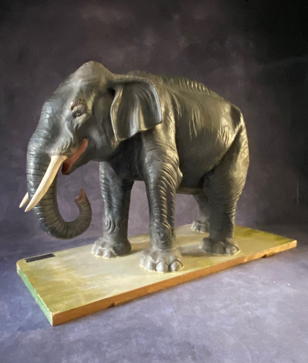 Rare Modèle éducatif En Papier Mâché d'Un éléphant - Italie Début Des Années 1900-photo-3