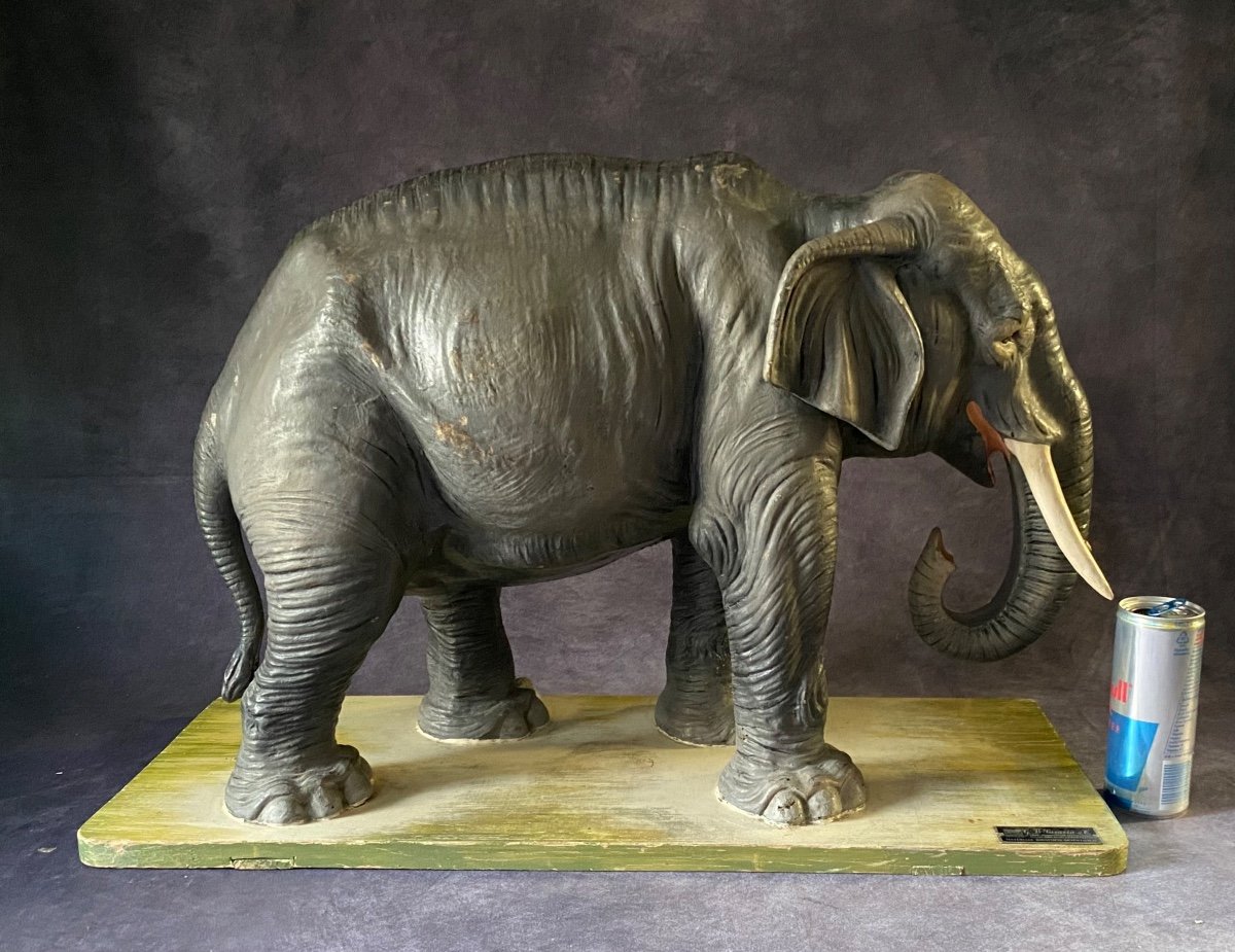 Rare Modèle éducatif En Papier Mâché d'Un éléphant - Italie Début Des Années 1900-photo-7