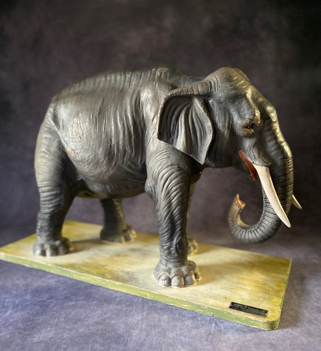 Rare Modèle éducatif En Papier Mâché d'Un éléphant - Italie Début Des Années 1900