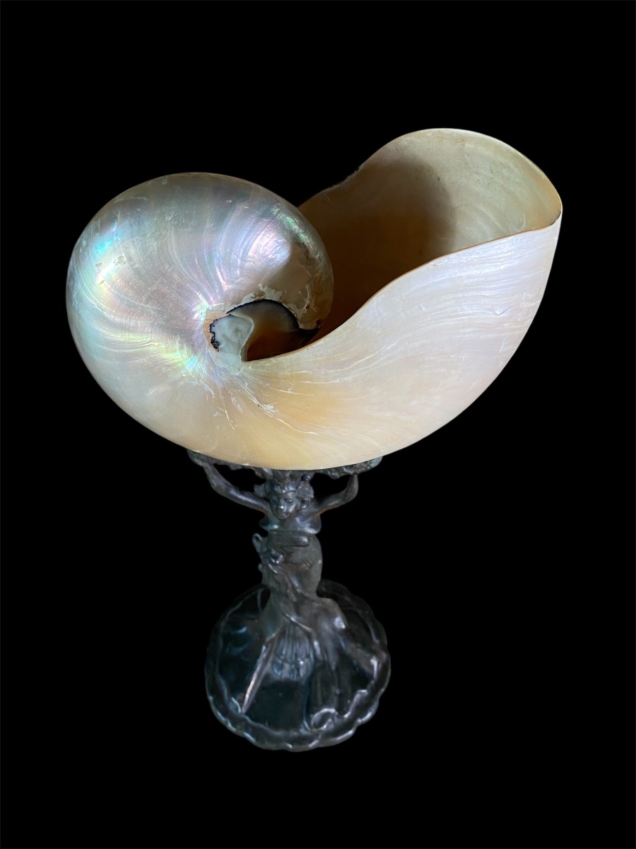 Art Nouveau Table Lamp With A Nautilus Shell -photo-3