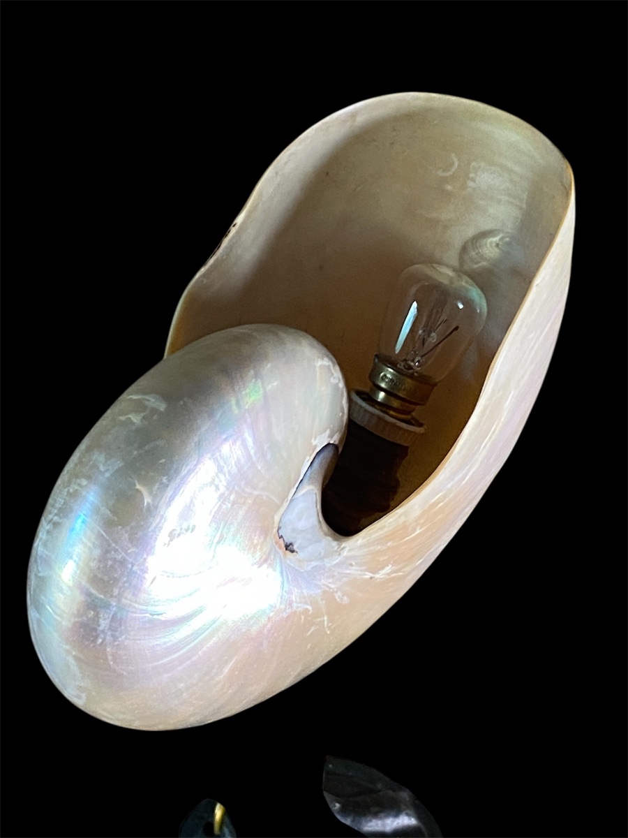 Art Nouveau Table Lamp With A Nautilus Shell -photo-4