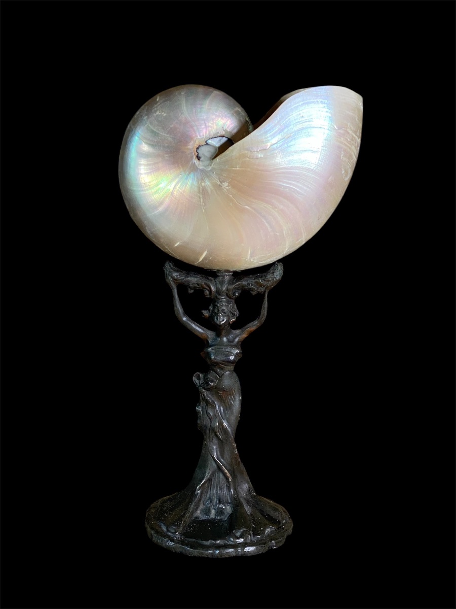 Art Nouveau Table Lamp With A Nautilus Shell -photo-5