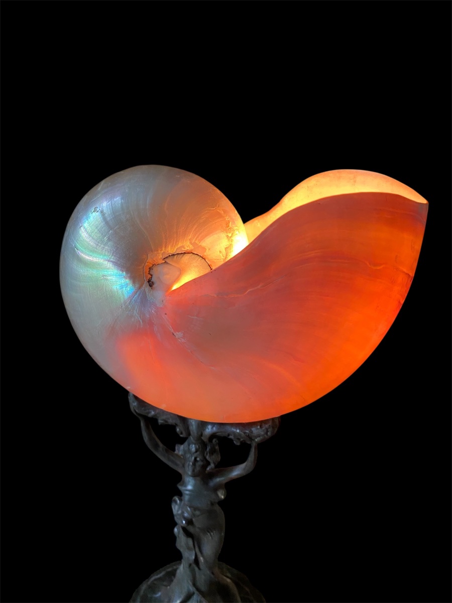 Art Nouveau Table Lamp With A Nautilus Shell -photo-6