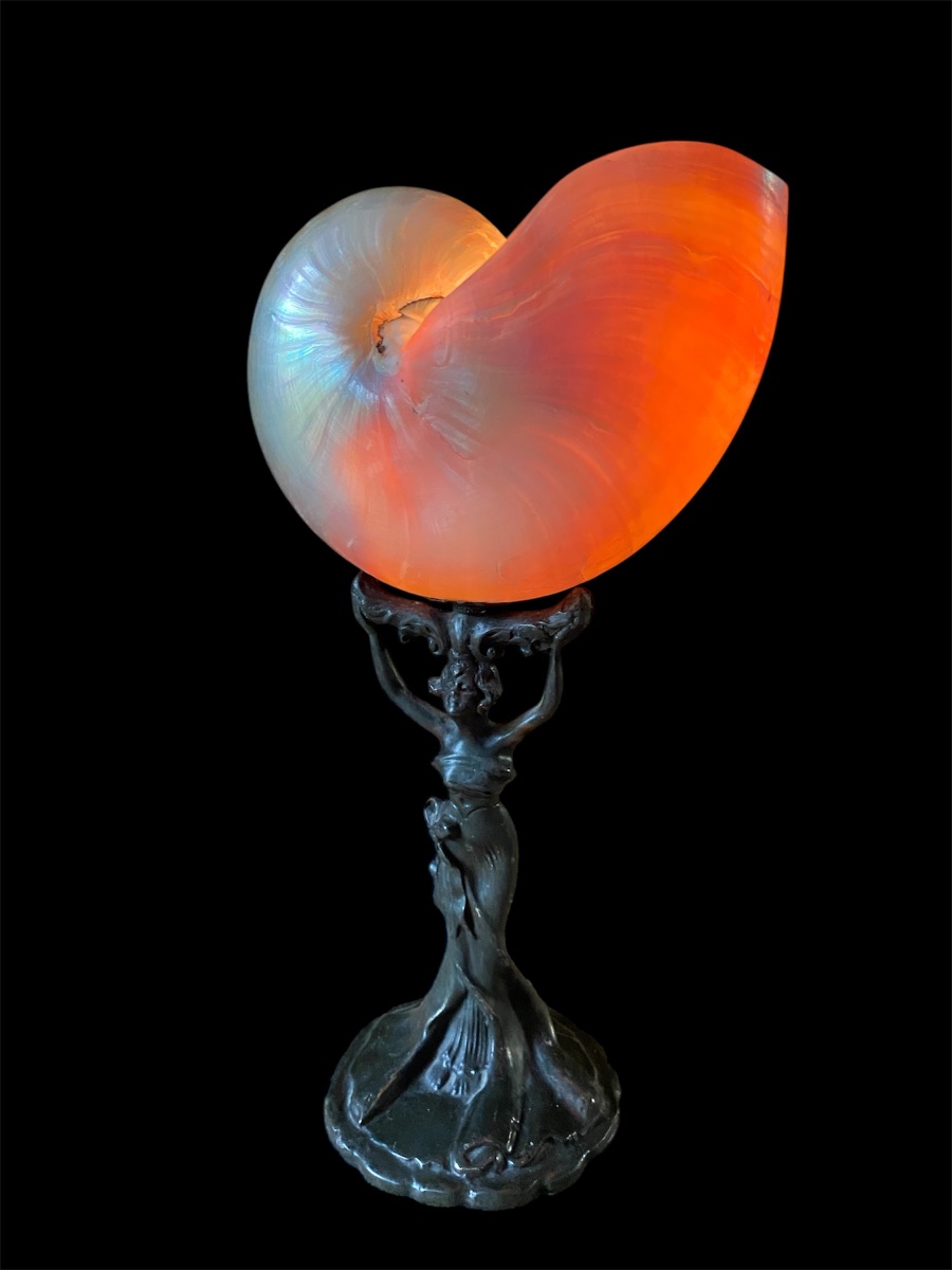 Art Nouveau Table Lamp With A Nautilus Shell 