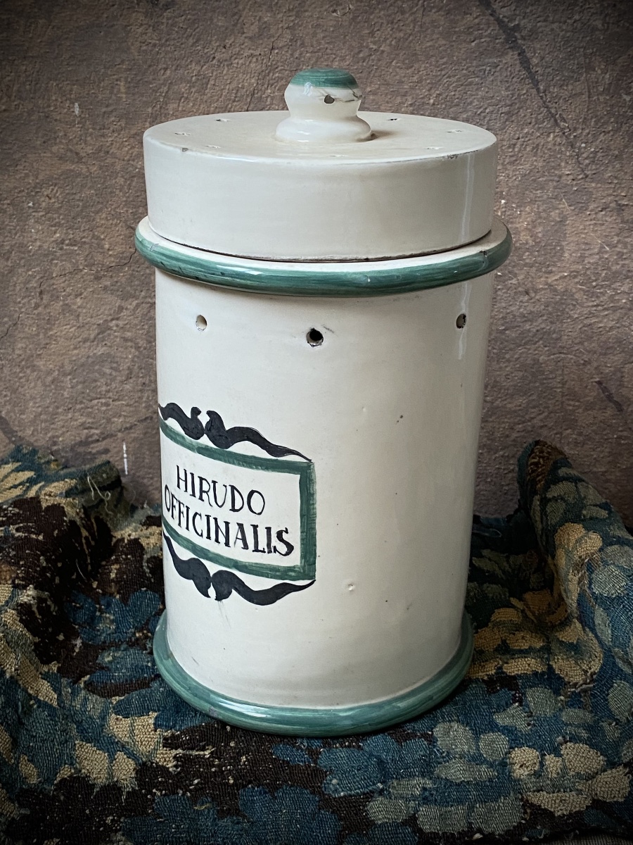 Rare Pharmacy Jar For Leeches /bloodletting - Italy, Late 19th Century-photo-2
