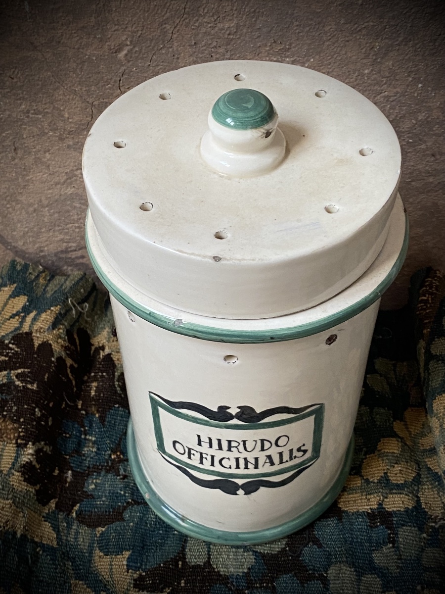 Rare Pharmacy Jar For Leeches /bloodletting - Italy, Late 19th Century-photo-4